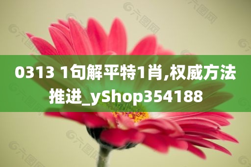 0313 1句解平特1肖,权威方法推进_yShop354188