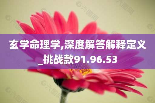 玄学命理学,深度解答解释定义_挑战款91.96.53