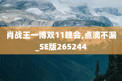 肖战王一博双11晚会,点滴不漏_SE版265244