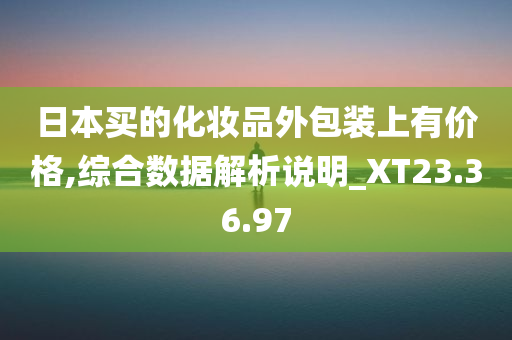 日本买的化妆品外包装上有价格,综合数据解析说明_XT23.36.97