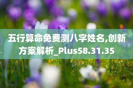 五行算命免费测八字姓名,创新方案解析_Plus58.31.35