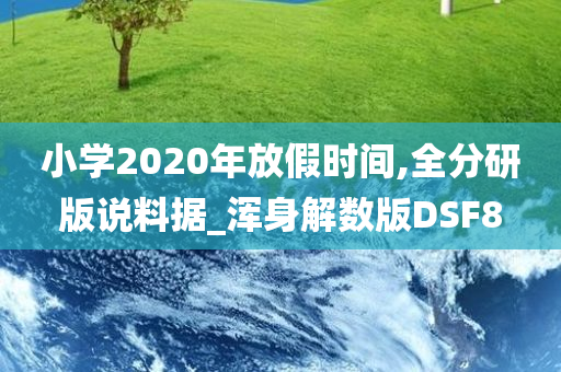 小学2020年放假时间,全分研版说料据_浑身解数版DSF8