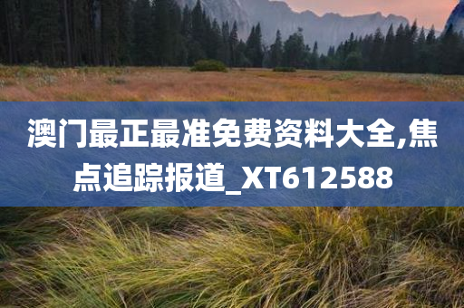 澳门最正最准免费资料大全,焦点追踪报道_XT612588