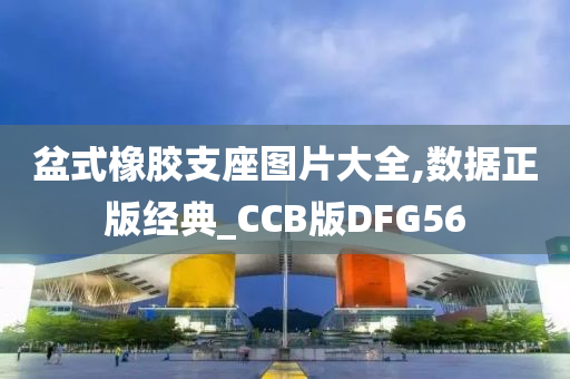 盆式橡胶支座图片大全,数据正版经典_CCB版DFG56