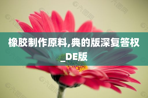 橡胶制作原料,典的版深复答权_DE版