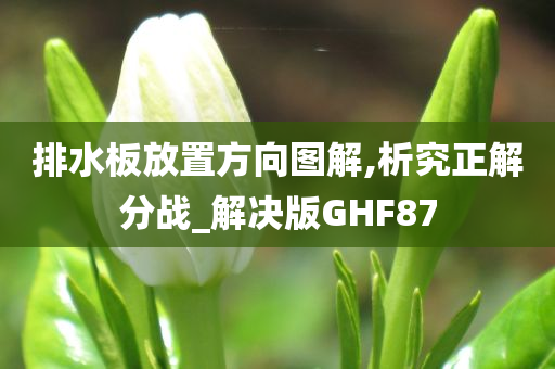 排水板放置方向图解,析究正解分战_解决版GHF87