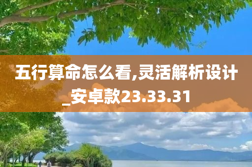 五行算命怎么看,灵活解析设计_安卓款23.33.31