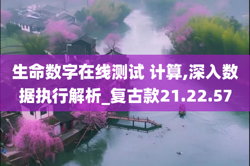 生命数字在线测试 计算,深入数据执行解析_复古款21.22.57