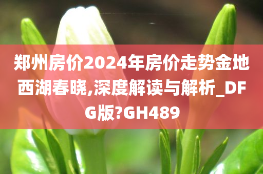 郑州房价2024年房价走势金地西湖春晓,深度解读与解析_DFG版?GH489