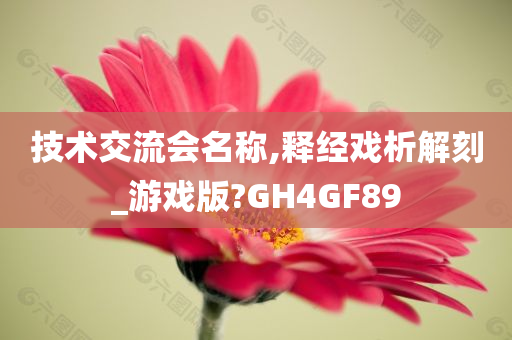 技术交流会名称,释经戏析解刻_游戏版?GH4GF89