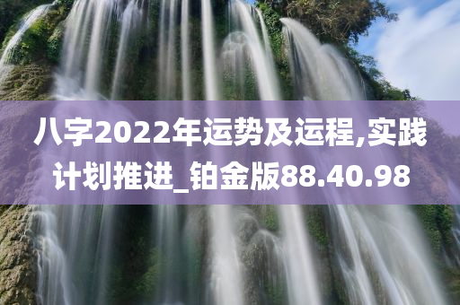 八字2022年运势及运程,实践计划推进_铂金版88.40.98