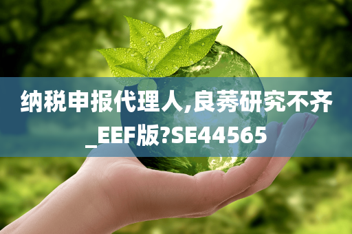 纳税申报代理人,良莠研究不齐_EEF版?SE44565