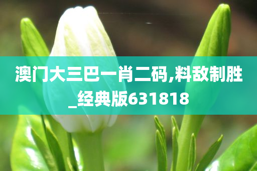 澳门大三巴一肖二码,料敌制胜_经典版631818