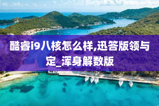 酷睿i9八核怎么样,迅答版领与定_浑身解数版