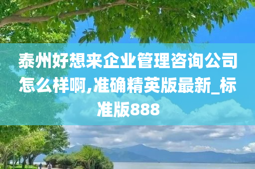 泰州好想来企业管理咨询公司怎么样啊,准确精英版最新_标准版888