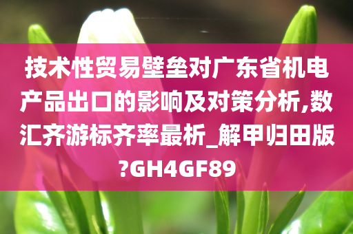 技术性贸易壁垒对广东省机电产品出口的影响及对策分析,数汇齐游标齐率最析_解甲归田版?GH4GF89