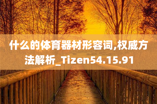 什么的体育器材形容词,权威方法解析_Tizen54.15.91