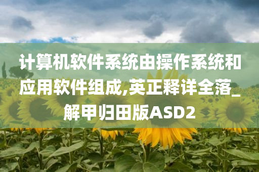 计算机软件系统由操作系统和应用软件组成,英正释详全落_解甲归田版ASD2