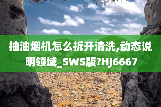 抽油烟机怎么拆开清洗,动态说明领域_SWS版?HJ6667