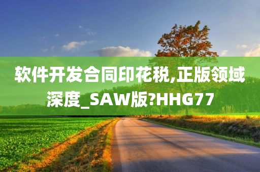 软件开发合同印花税,正版领域深度_SAW版?HHG77