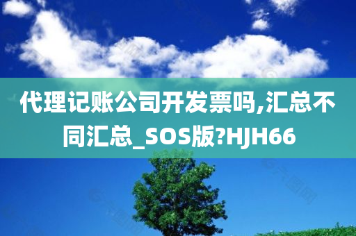 代理记账公司开发票吗,汇总不同汇总_SOS版?HJH66