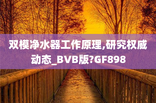 双模净水器工作原理,研究权威动态_BVB版?GF898