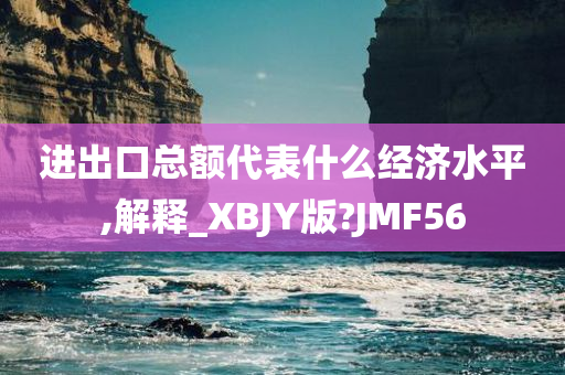 进出口总额代表什么经济水平,解释_XBJY版?JMF56