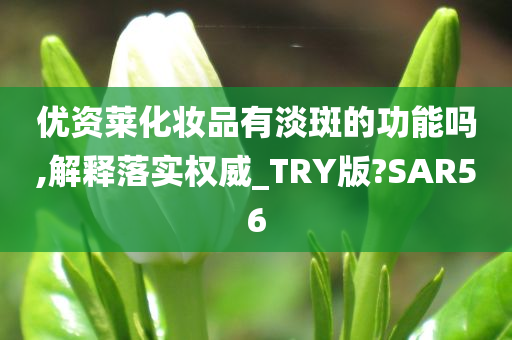 优资莱化妆品有淡斑的功能吗,解释落实权威_TRY版?SAR56