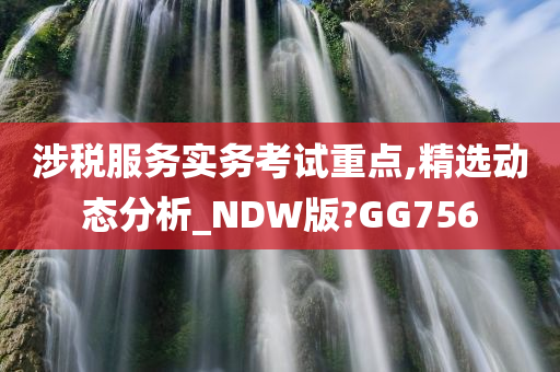 涉税服务实务考试重点,精选动态分析_NDW版?GG756