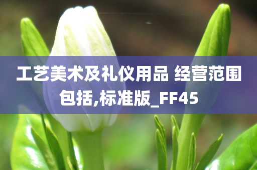 工艺美术及礼仪用品 经营范围包括,标准版_FF45