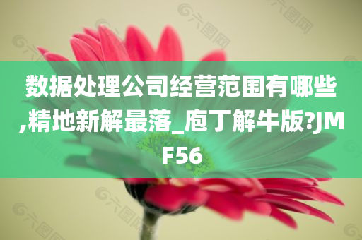 数据处理公司经营范围有哪些,精地新解最落_庖丁解牛版?JMF56