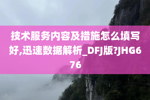 技术服务内容及措施怎么填写好,迅速数据解析_DFJ版?JHG676