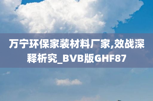 万宁环保家装材料厂家,效战深释析究_BVB版GHF87