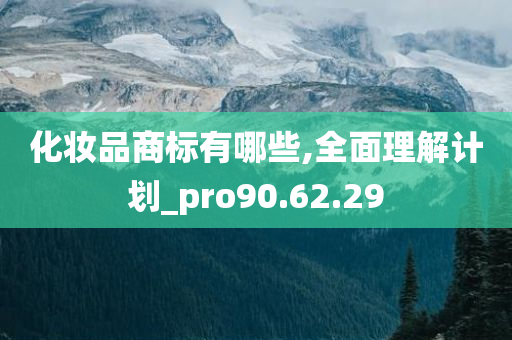 化妆品商标有哪些,全面理解计划_pro90.62.29