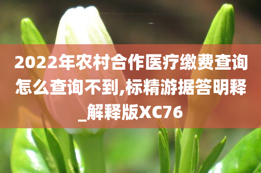 2022年农村合作医疗缴费查询怎么查询不到,标精游据答明释_解释版XC76