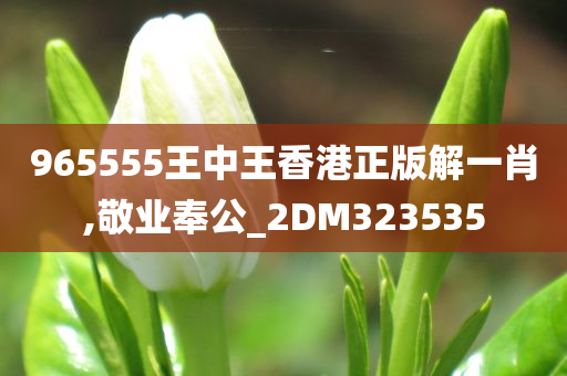 965555王中王香港正版解一肖,敬业奉公_2DM323535