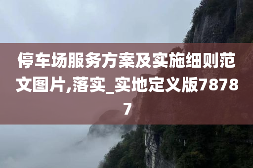 停车场服务方案及实施细则范文图片,落实_实地定义版78787