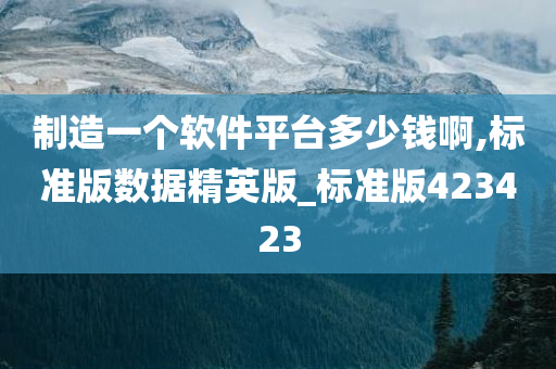 制造一个软件平台多少钱啊,标准版数据精英版_标准版423423