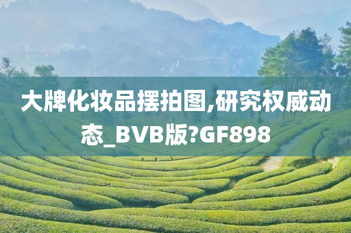 大牌化妆品摆拍图,研究权威动态_BVB版?GF898