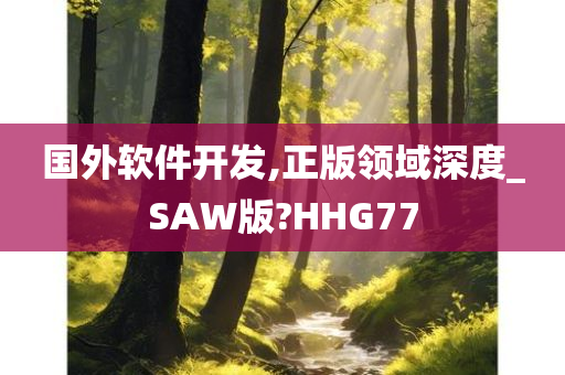 国外软件开发,正版领域深度_SAW版?HHG77