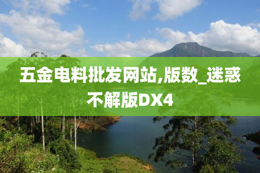 五金电料批发网站,版数_迷惑不解版DX4