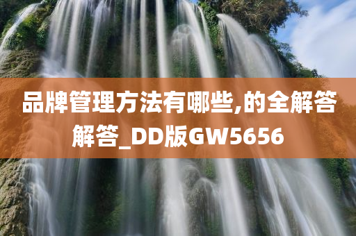 品牌管理方法有哪些,的全解答解答_DD版GW5656