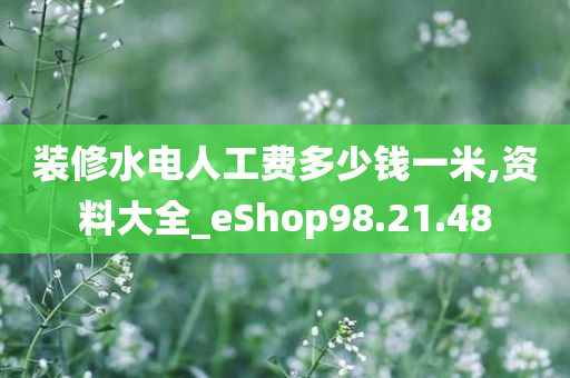 装修水电人工费多少钱一米,资料大全_eShop98.21.48