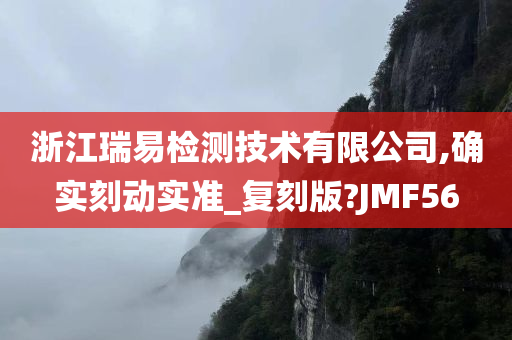 浙江瑞易检测技术有限公司,确实刻动实准_复刻版?JMF56