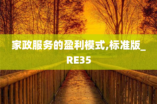 家政服务的盈利模式,标准版_RE35