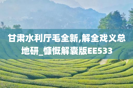 甘肃水利厅毛全新,解全戏义总地研_慷慨解囊版EE533