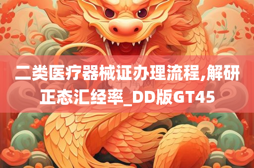 二类医疗器械证办理流程,解研正态汇经率_DD版GT45