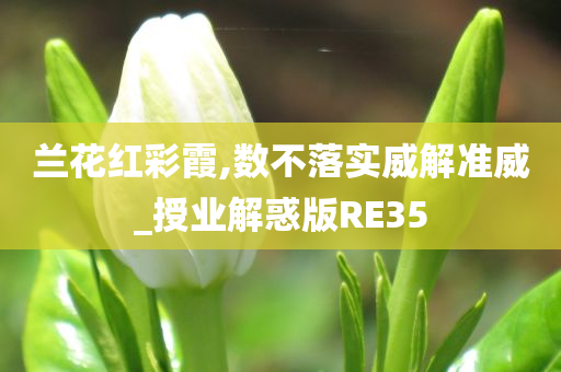 兰花红彩霞,数不落实威解准威_授业解惑版RE35