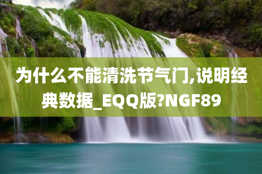 为什么不能清洗节气门,说明经典数据_EQQ版?NGF89