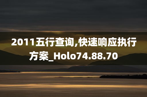 2011五行查询,快速响应执行方案_Holo74.88.70